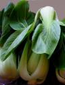 Garlic Baby Bok Choy